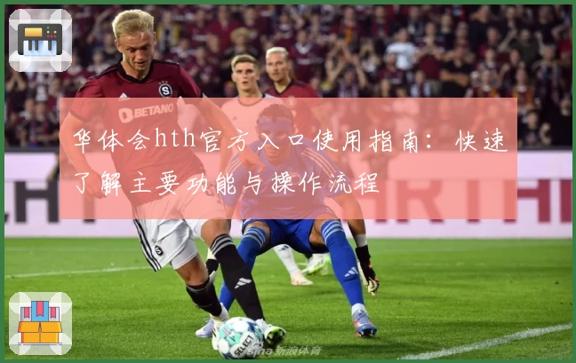 华体会hth官方入口使用指南：快速了解主要功能与操作流程